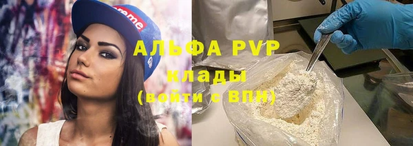 ПСИЛОЦИБИНОВЫЕ ГРИБЫ Заволжье