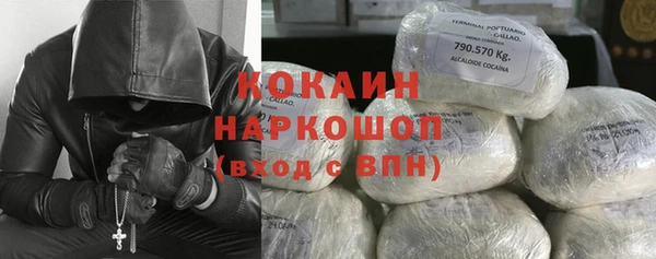 ПСИЛОЦИБИНОВЫЕ ГРИБЫ Заволжье