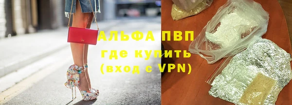 ПСИЛОЦИБИНОВЫЕ ГРИБЫ Заволжье