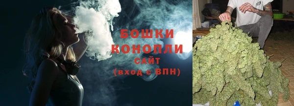 ПСИЛОЦИБИНОВЫЕ ГРИБЫ Заволжье