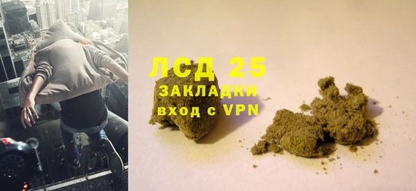 ПСИЛОЦИБИНОВЫЕ ГРИБЫ Заволжье