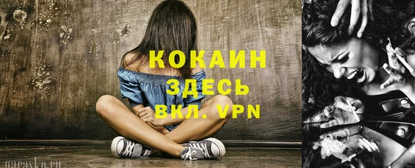 ПСИЛОЦИБИНОВЫЕ ГРИБЫ Заволжье