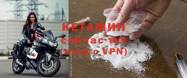 ПСИЛОЦИБИНОВЫЕ ГРИБЫ Заволжье