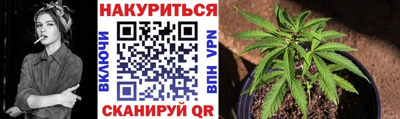 Бошки марихуана гибрид  Купить где  Бийск 